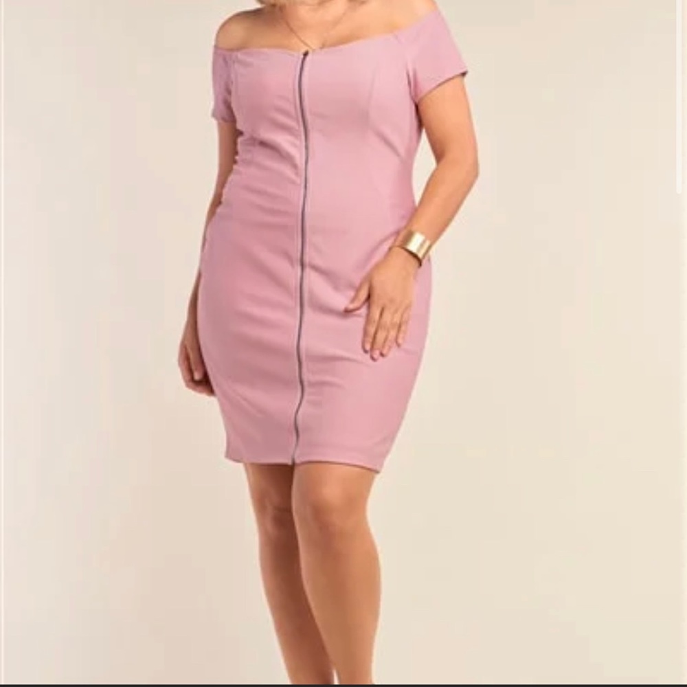 Curvy Pink Dress With Zipper in the front.